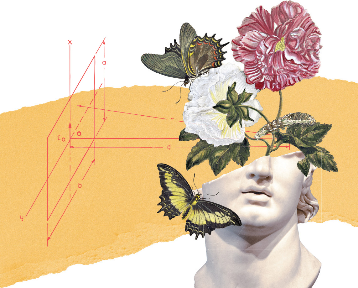 collage including flowers, a butterfly and a bust sculpture