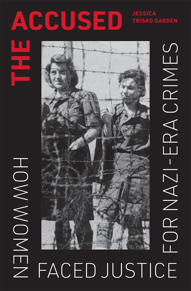 Book cover for The Accused
