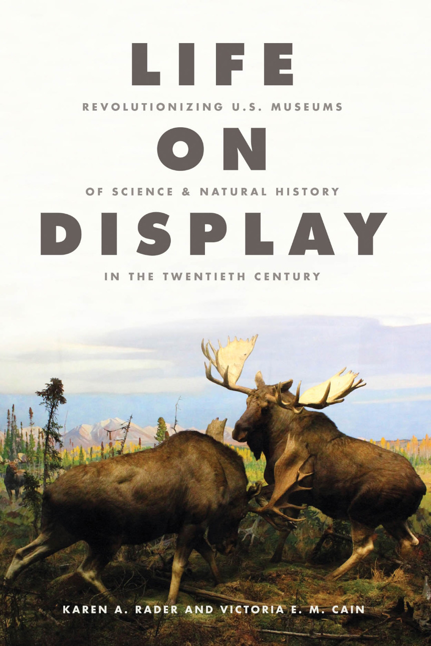 Life on Display cover