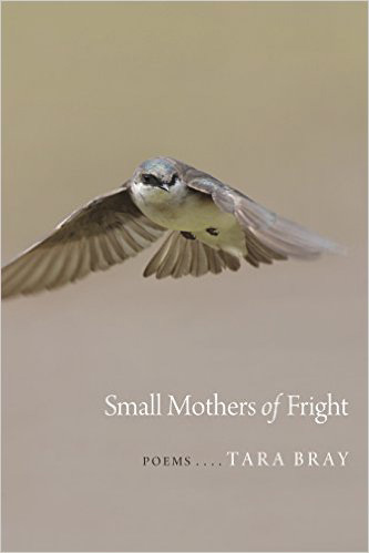 Small Mothers of Flight cover